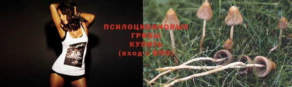mdma Кинешма