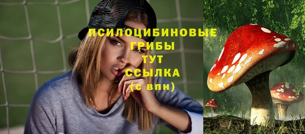 не бодяженный Киренск