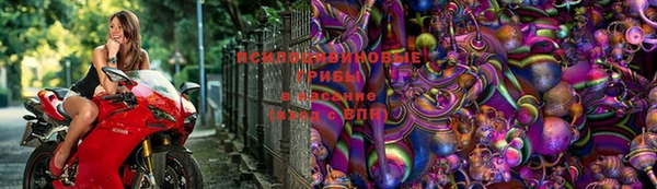 не бодяженный Киренск